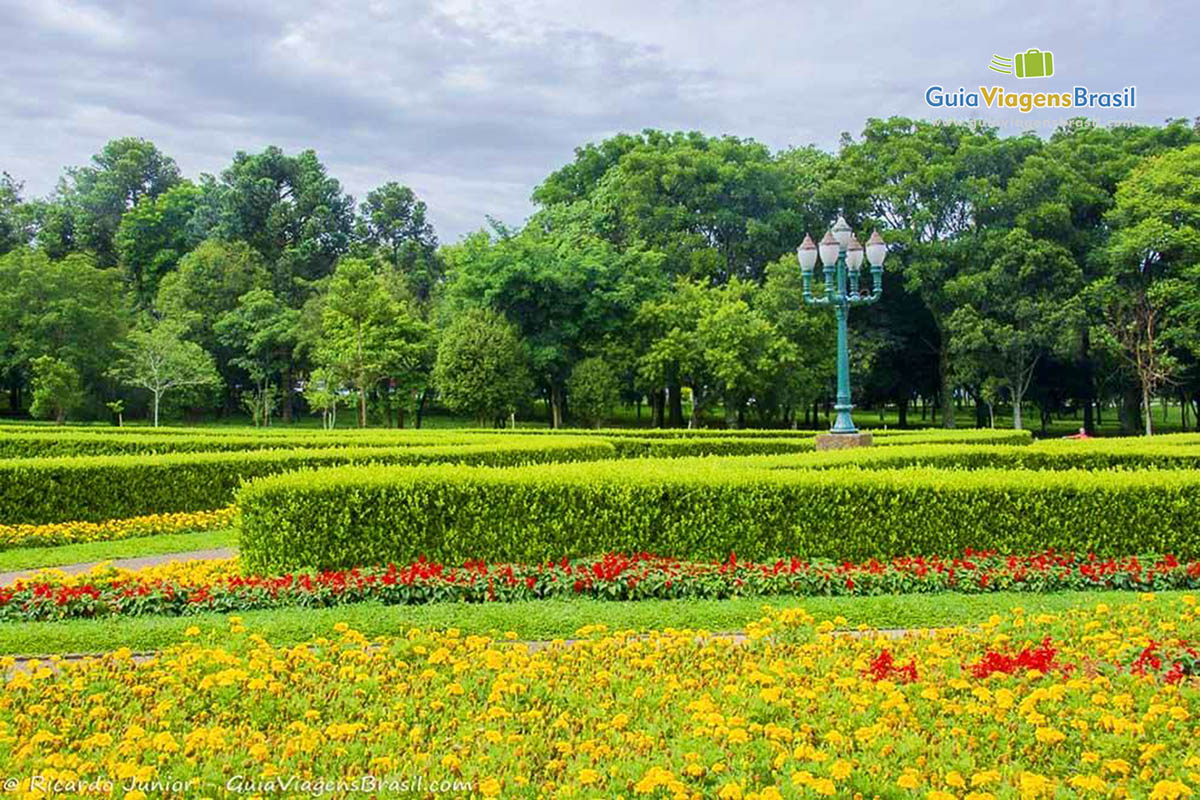 Imagem das cores vibrantes das flores espalhadas no jardim.