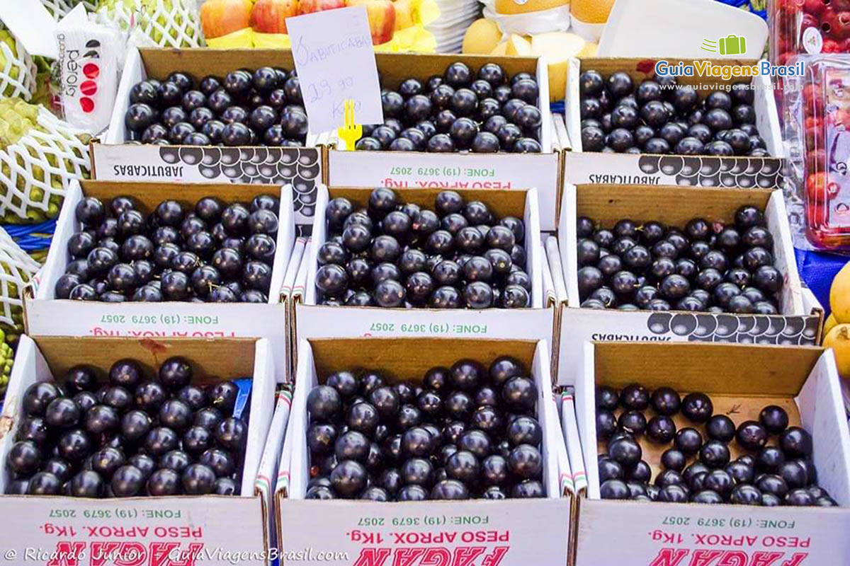 Imagem de lindas jabuticabas no Mercado Municipal de São Paulo.