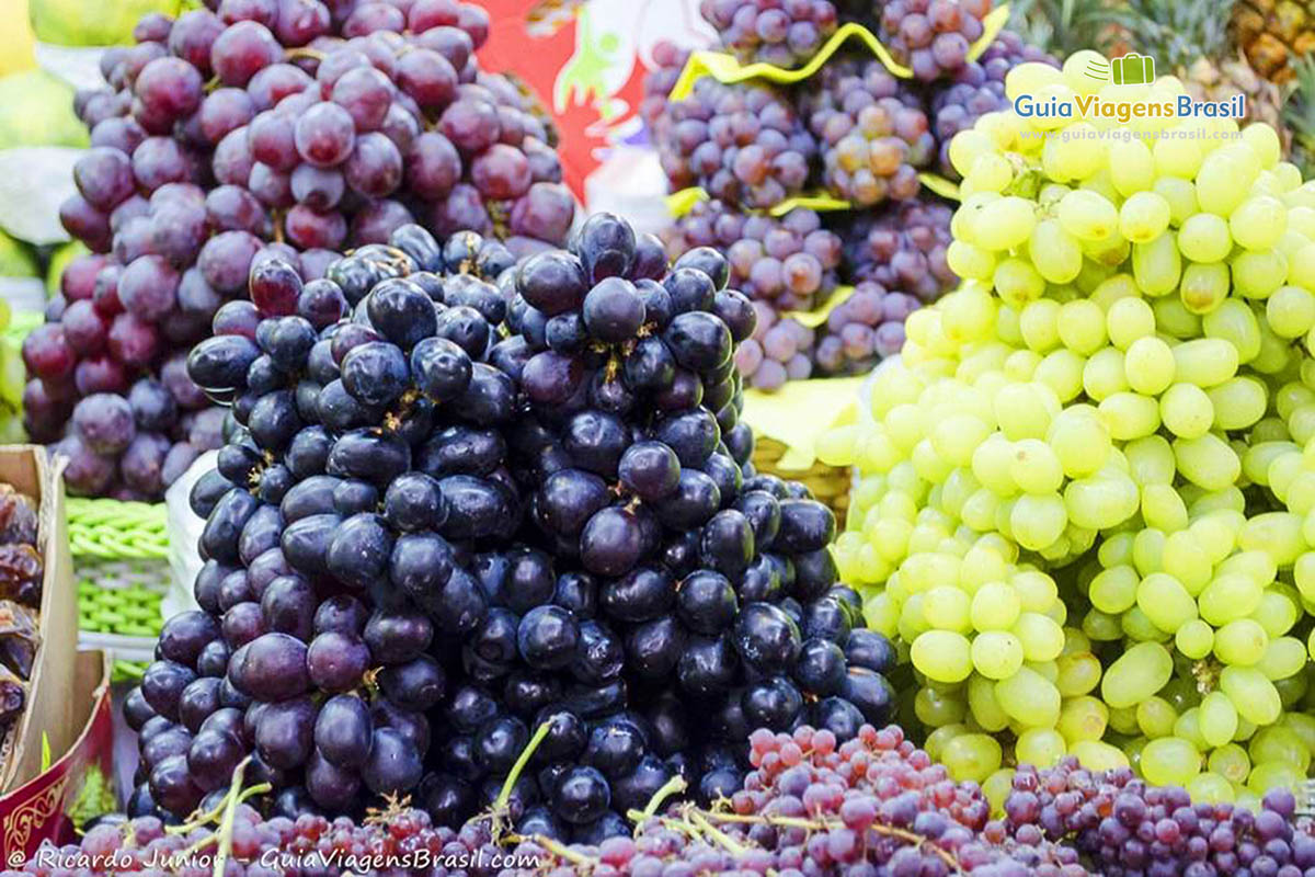 Imagem de uvas verde roxa etc..., uma coisa podemos afirmar no Mercado Municipal há variedades de frutas de toda a região do Brasil. 