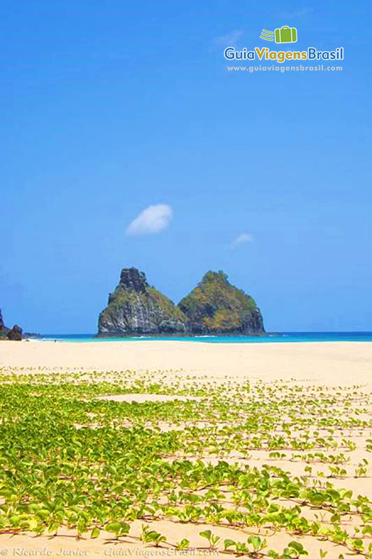 Imagem do Morro Dois Irmãos na praia e na areia uma vegetação, em Fernando de Noronha, Pernambuco, Brasil