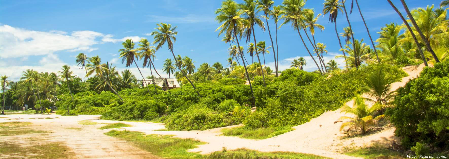 LINDAS PRAIAS DE AREMBEPE