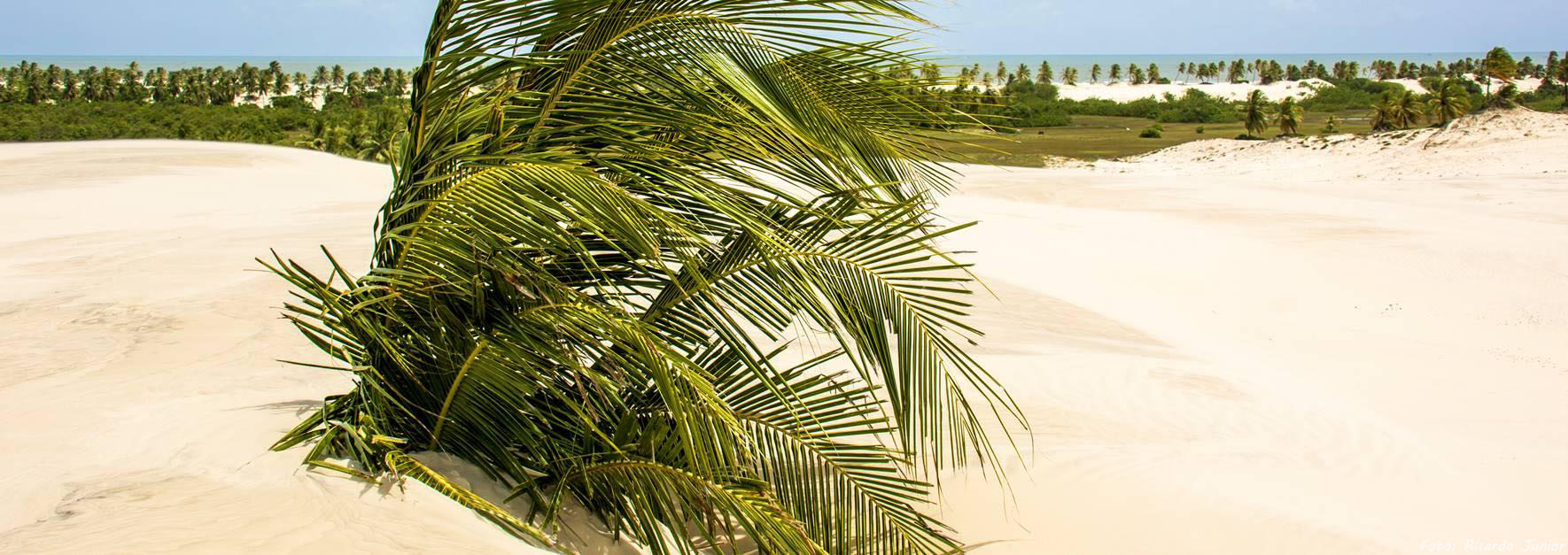 PRAIAS DE MANGUE SECO