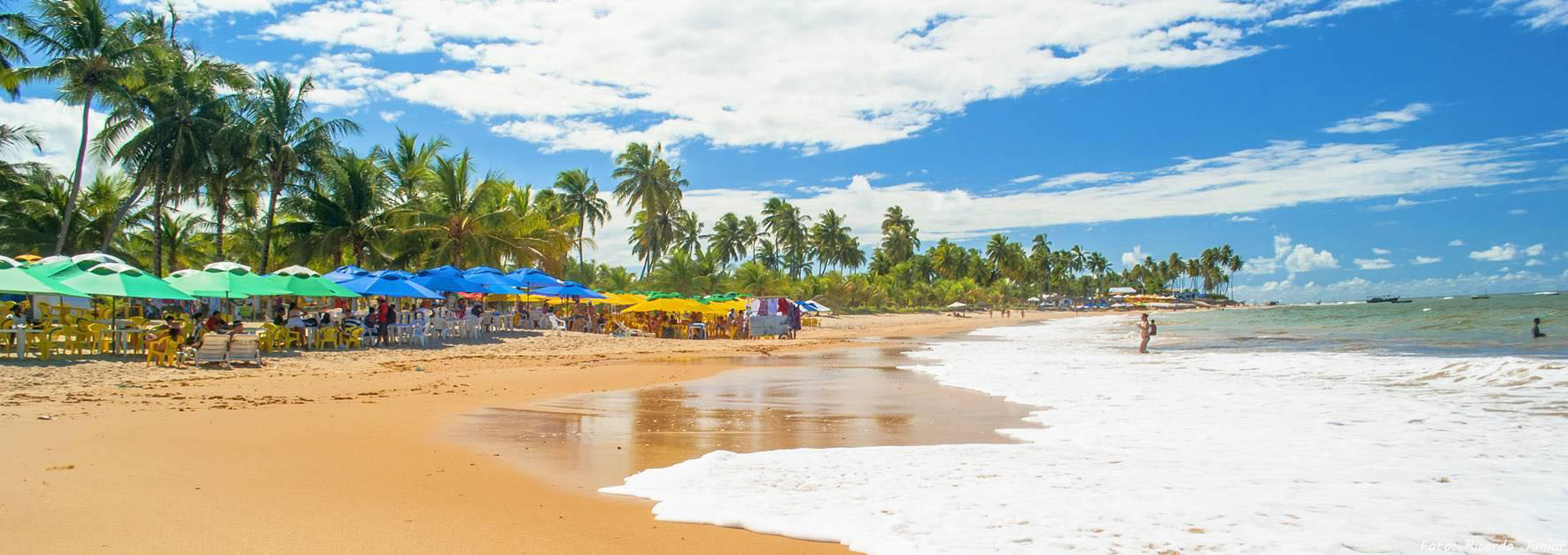 MAR ESVERDIANTE COM LINDOS COQUEIROS