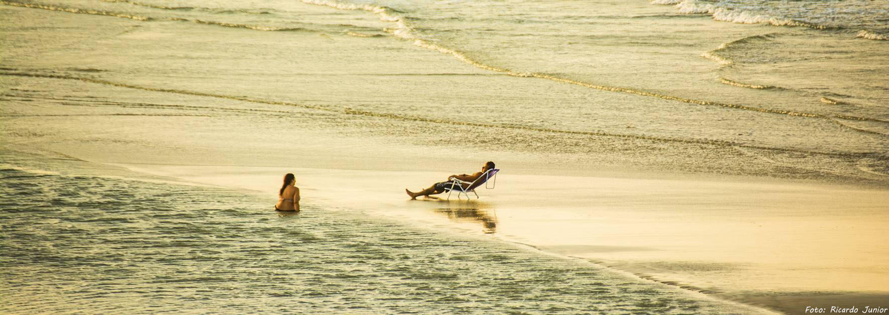 ILHA DO MEL FAUNA E FLORA PRESERVADAS