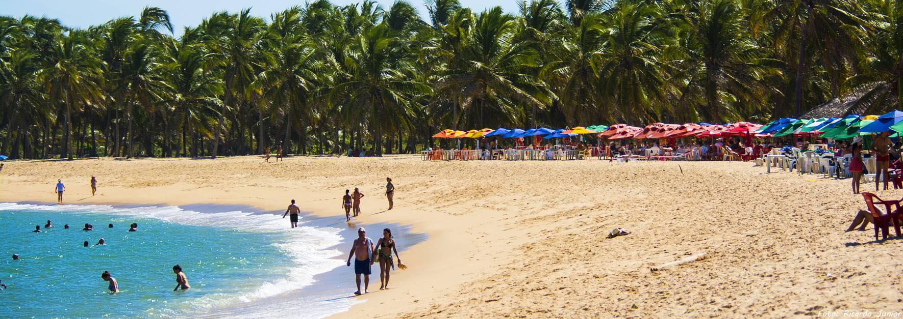 CURTA COM A SUA FAMÍLIA A PARADISÍACA PRAIA DO GUNGA