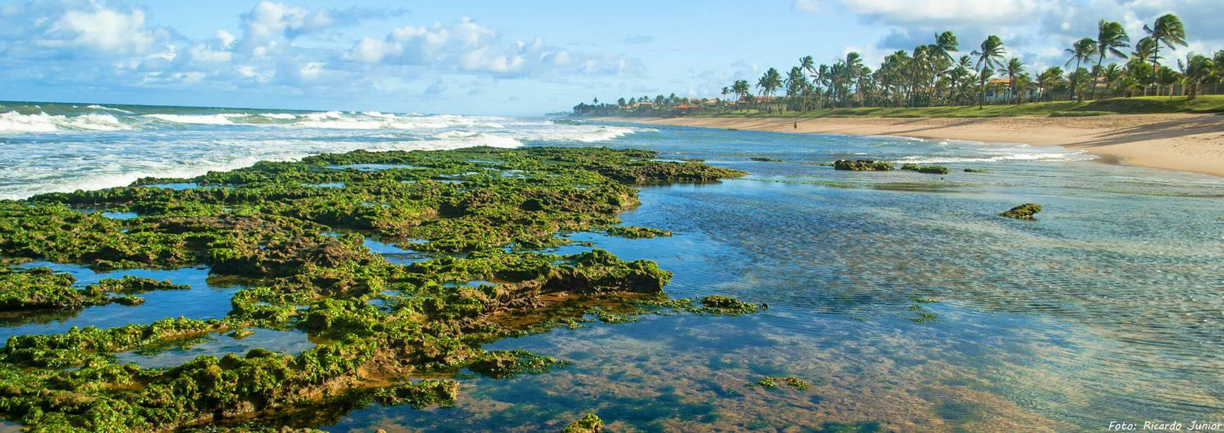 ÁGUAS REFRESCANTES DE LAURO DE FREITAS