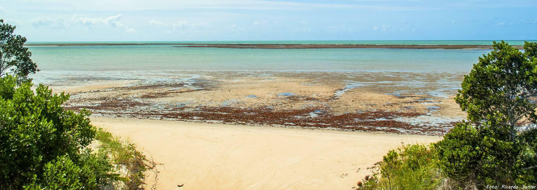 Guia Completo de PORTO SEGURO e arredores