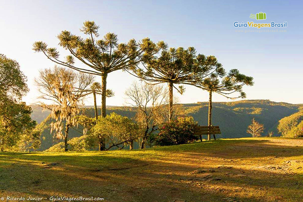 Imagem de um lindo gramado e árvores em um dos mirantes do Parque.