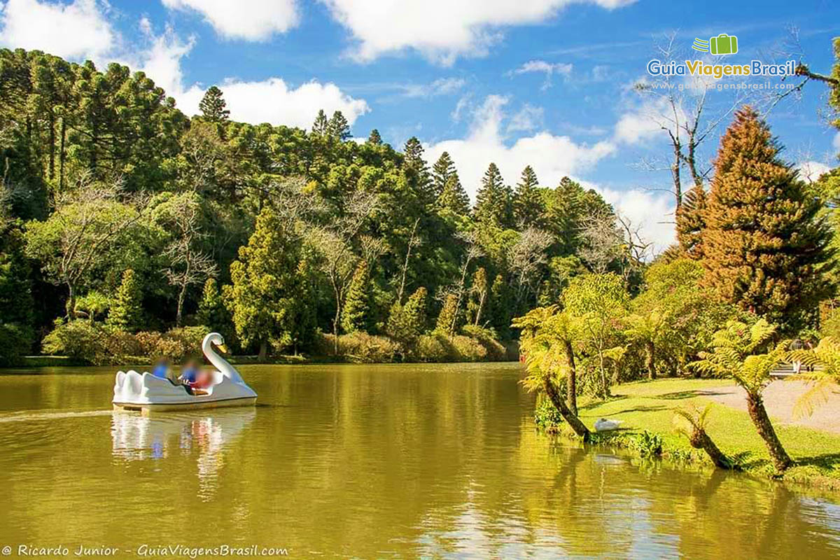 Imagem de um pedalinho em forma de um cisne no lago e ao fundo belas árvores.