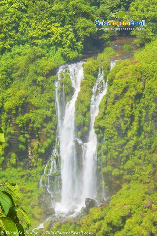 Imagem de uma linda cachoeira no meio da mata no Parque.