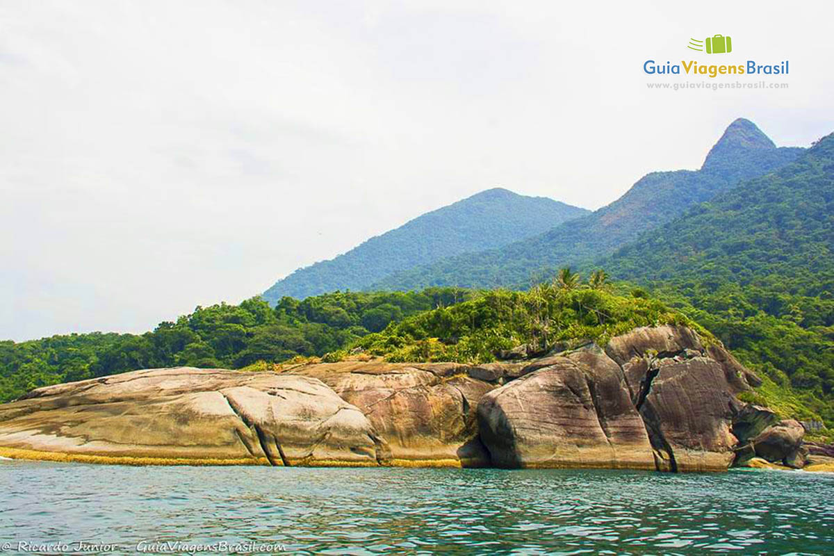 Imagem de vegetação sobre as pedras na Ilhabela.