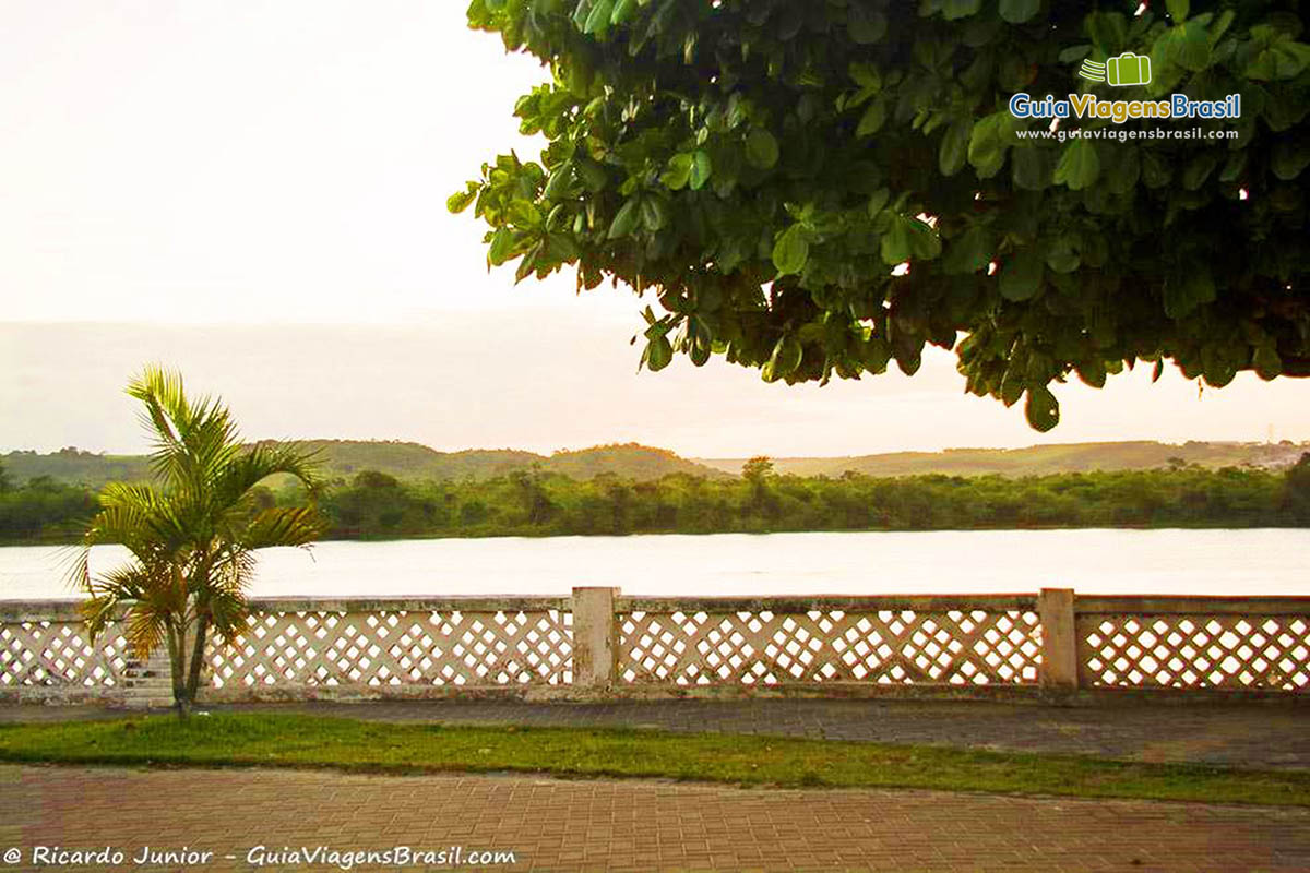 Imagem de bela árvore e o Rio São Francisco, em Penedo, Alagoas, Brasil.