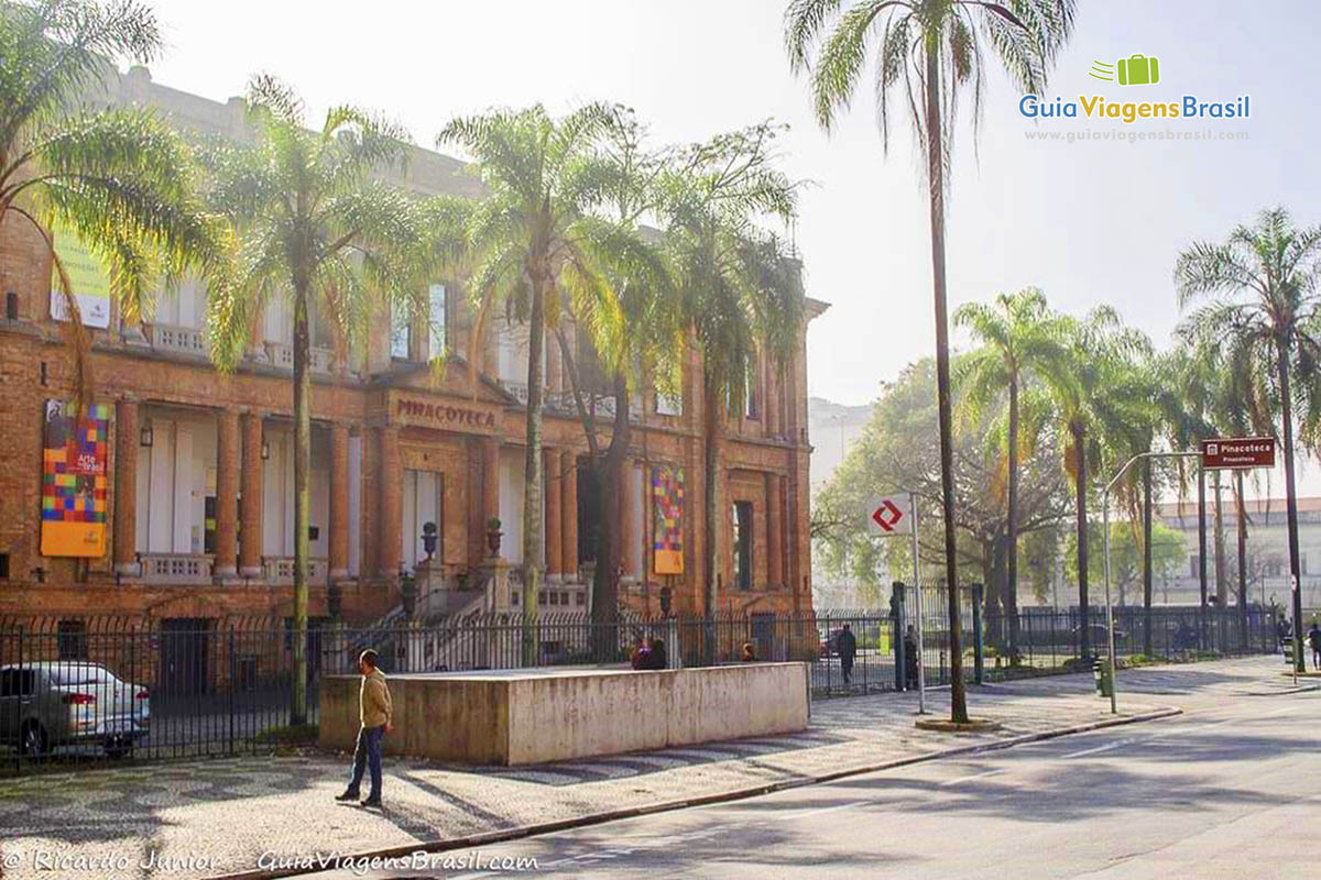 Imagem dos belos coqueiros na frente da Pinacoteca, em São Paulo.