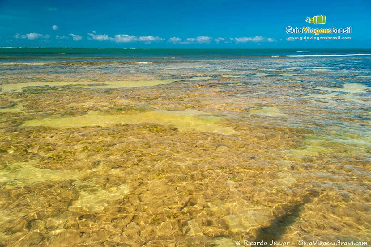 Foto das Piscinas Naturais de Pajuçara, em Maceió