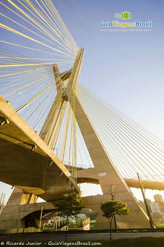 	
Imagem da Ponte Estaiada que é a única que possui duas pistas em curva conectadas ao mesmo mastro, em São Paulo.