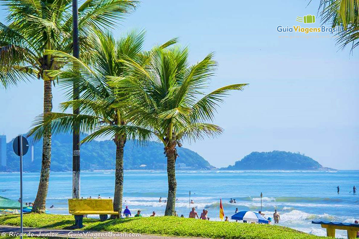 Imagem dos coqueiros, do mar e ao fundo dois morros, compondo uma belíssima paisagem, na Praia de Guaratuba, em Santa Catarina, Brasil.