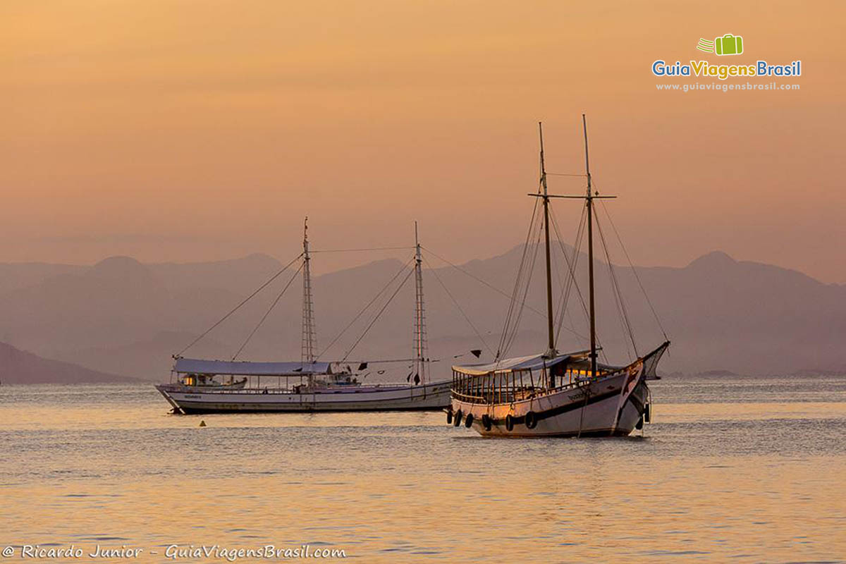 Imagem de bonito e grandes barcos de passeio no mar.