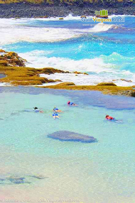 Imagem de turistas mergulhando para ver os peixes coloridos que possui na piscina natural na Praia da Atalaia, em Fernando de Noronha, Pernambuco, Brasil.