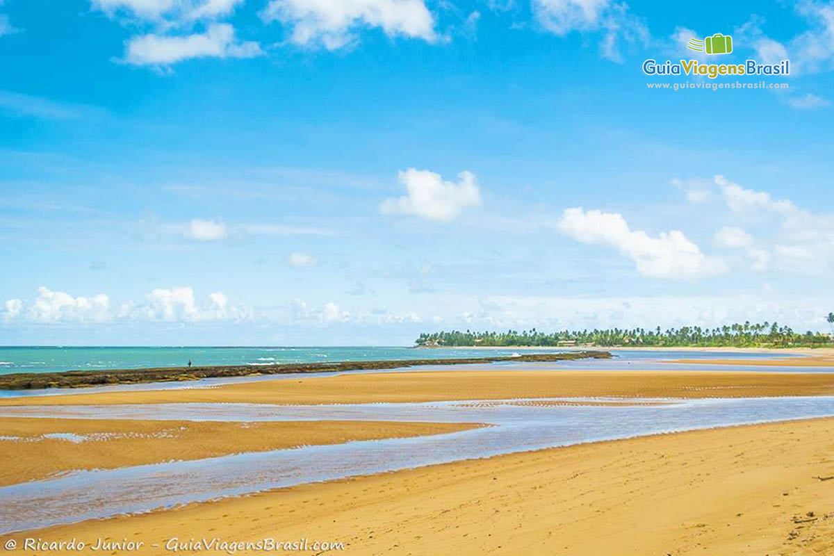 Imagem de piscina natural na Praia da Tabuba, paraíso em Alagoas.