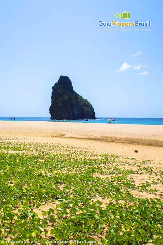 Imagem vegetação rasteira, areias e ao fundo o mar da Praia da  Cacimba do Padre, em Fernando de Noronha, Pernambuco, Brasil.