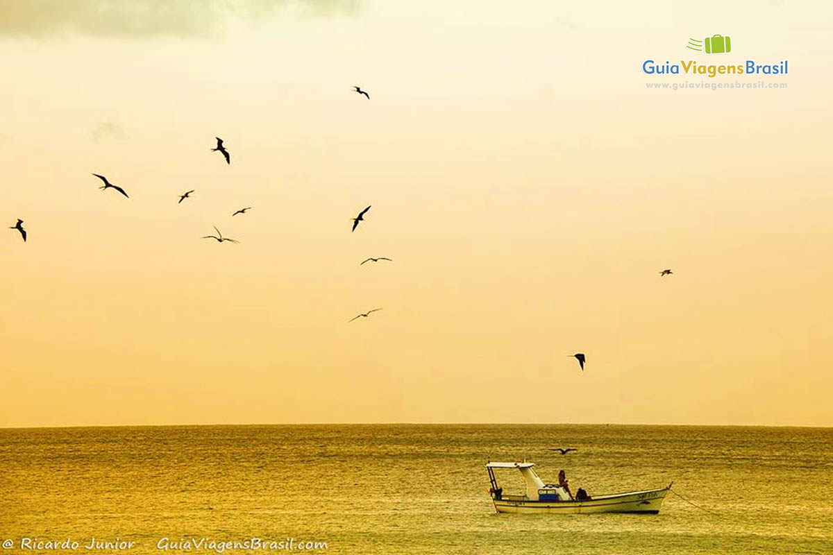 Imagem de fim de tarde com barco de pesca parado no mar e gaivotas voando no cëu, da  Praia da Conceição, em Fernando de Noronha, Pernambuco, Brasil.
