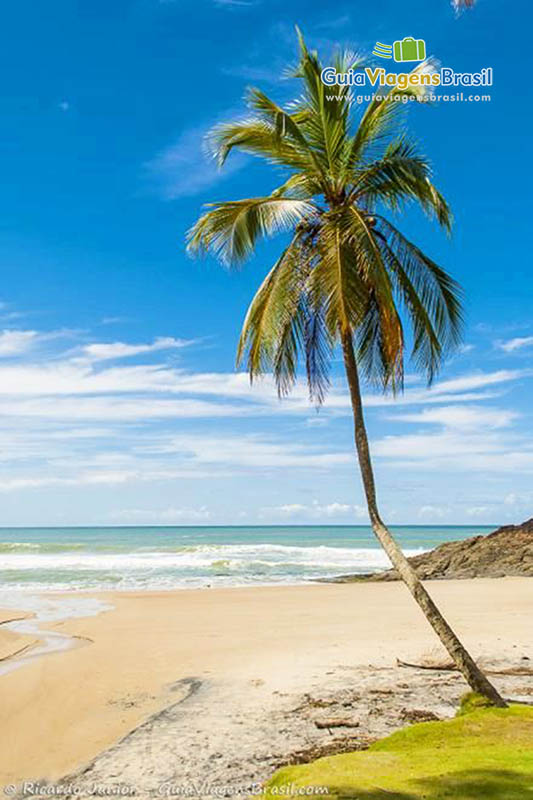 Imagem Praia da Costa, possui mar um pouco agitado.