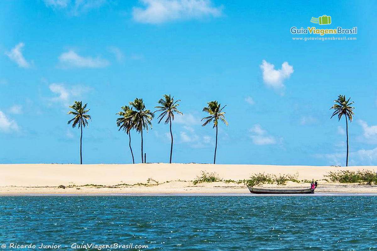 Imagem da beira do Rio São Francisco.