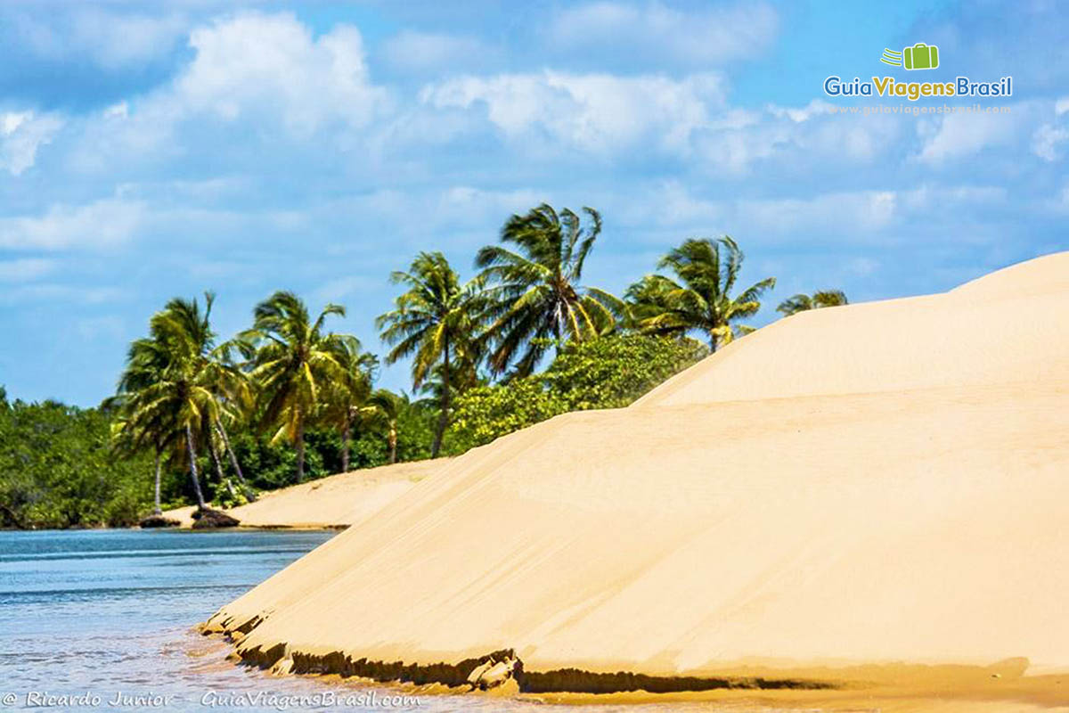 Imagem maravilhosa da Praia Foz Rio São Francisco, em Alagoas, Brasil