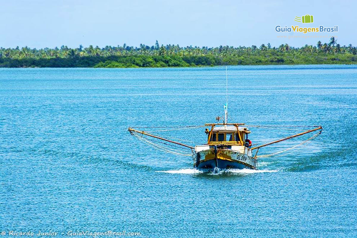 Imagem de um barco navegando nas bela águas e ao fundo vegetação de Foz Rio São Francisco, em Alagoas, Brasil.