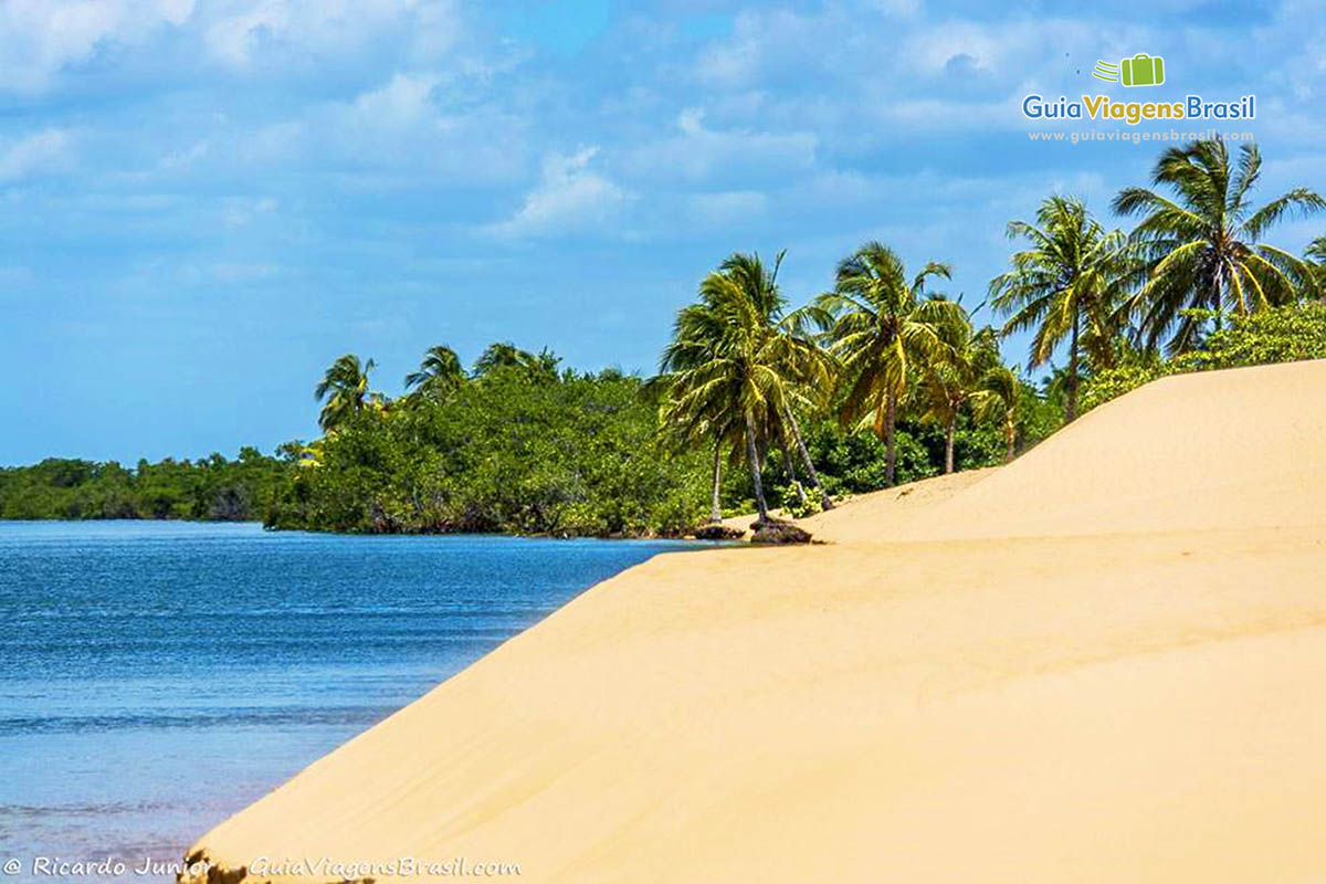 Imagem de coqueiros ao fundo das belas Dunas de do lindo velho Chico.