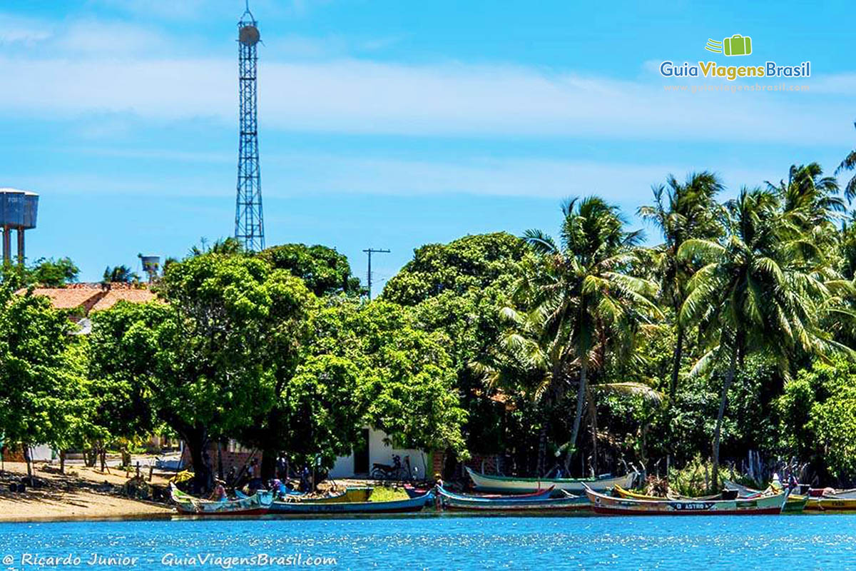 Imagem do rio e das árvores e coqueiros na margem, Foz Rio São Francisco, em Alagoas, Brasil.