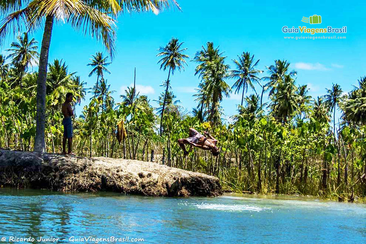 Imagem do rio e ao fundo os coqueiros de Foz do Rio São Francisco, em Alagoas, Brasil.