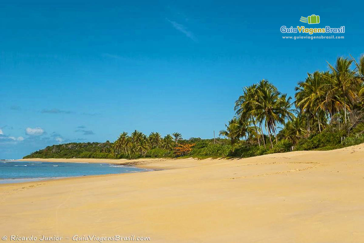 Imagem da bela Praia de Ponta de Itapororoca.