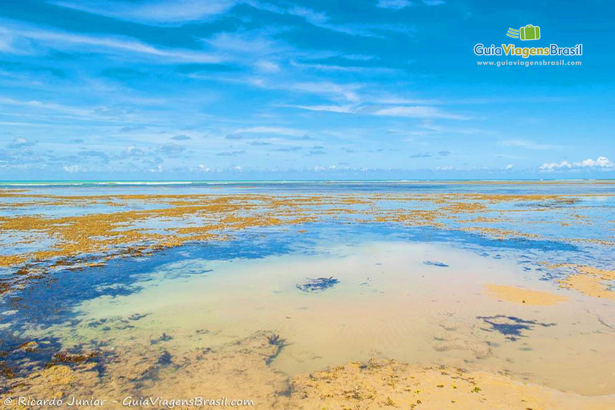 Imagem da piscina natural que se forma na Praia de Ponta de Itapororoca.