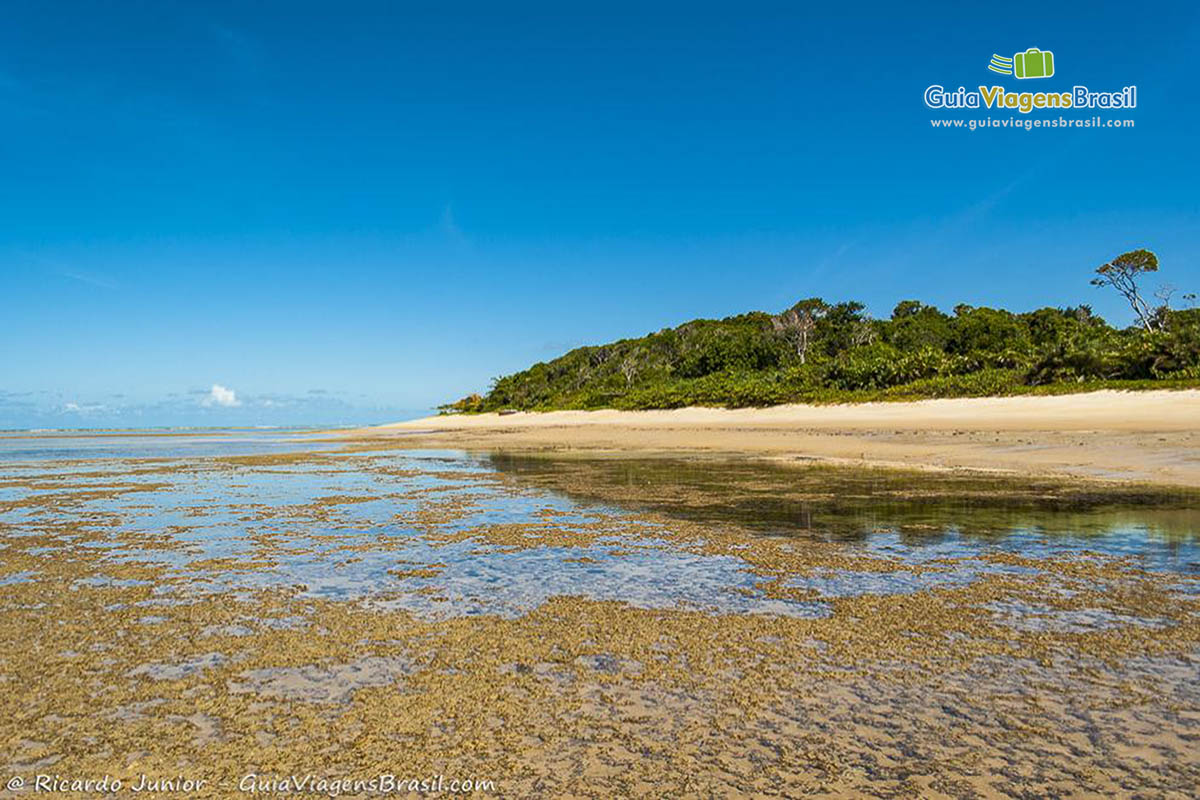 Imagem das águas transparentes da praia.