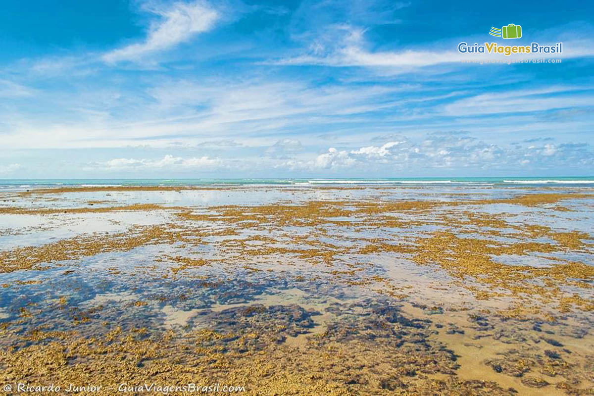 Imagem dos arrecifes da Praia de  Ponta de Itapororoca.