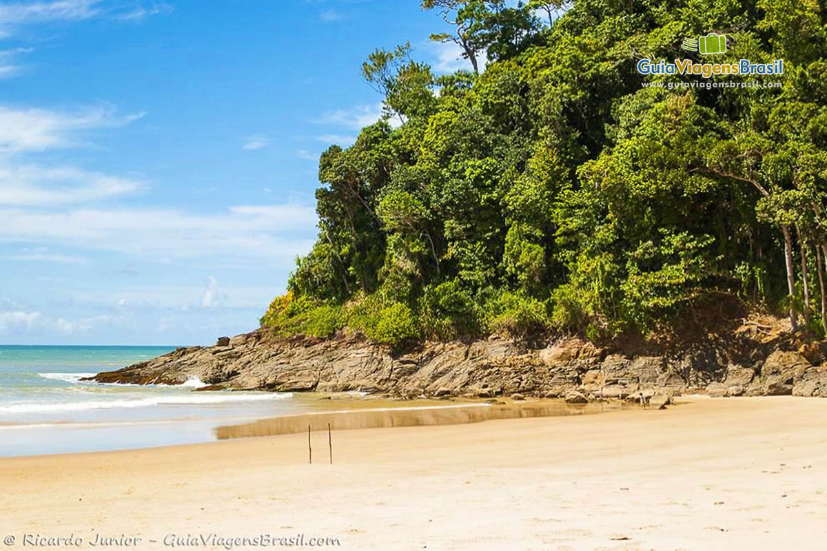 Imagem do canto da praia com coqueiros em cima, paisagem maravilhosa.