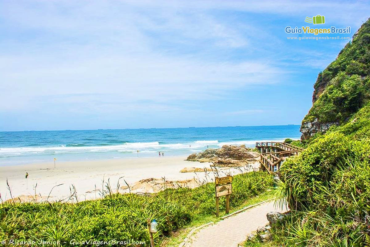 Imagem da trilha da Praia das Encatadas, na Ilha do Mel, Paraná, Brasil.