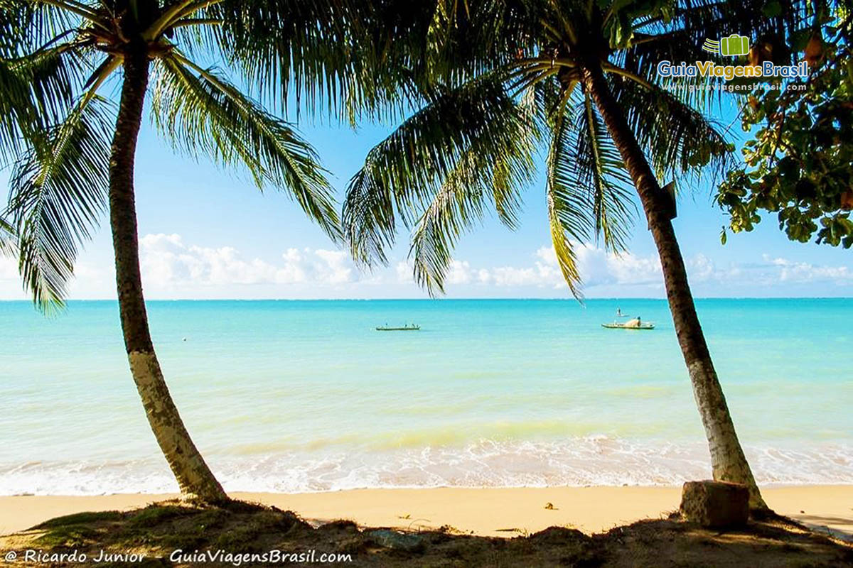 Imagem deslumbrante da Praia Barra Grande em Maragogi.