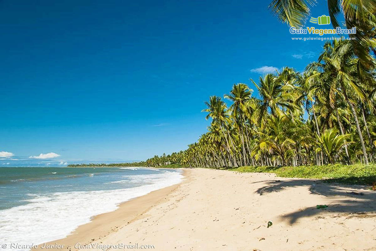 Imagem da Praia Barreiras do Boqueirão em Maragogi.