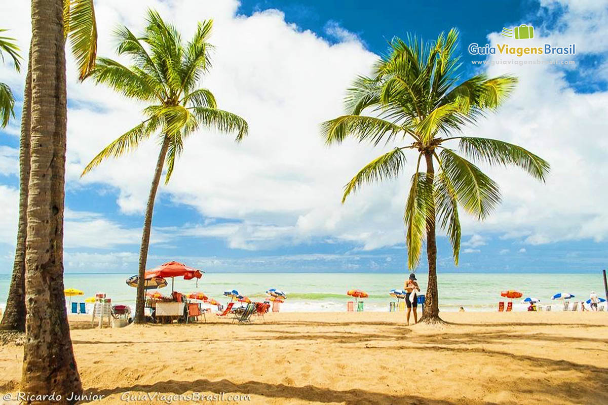 Imagem dos coqueiros na areia da Praia de Boa Viagem e ao fundo o belo mar.