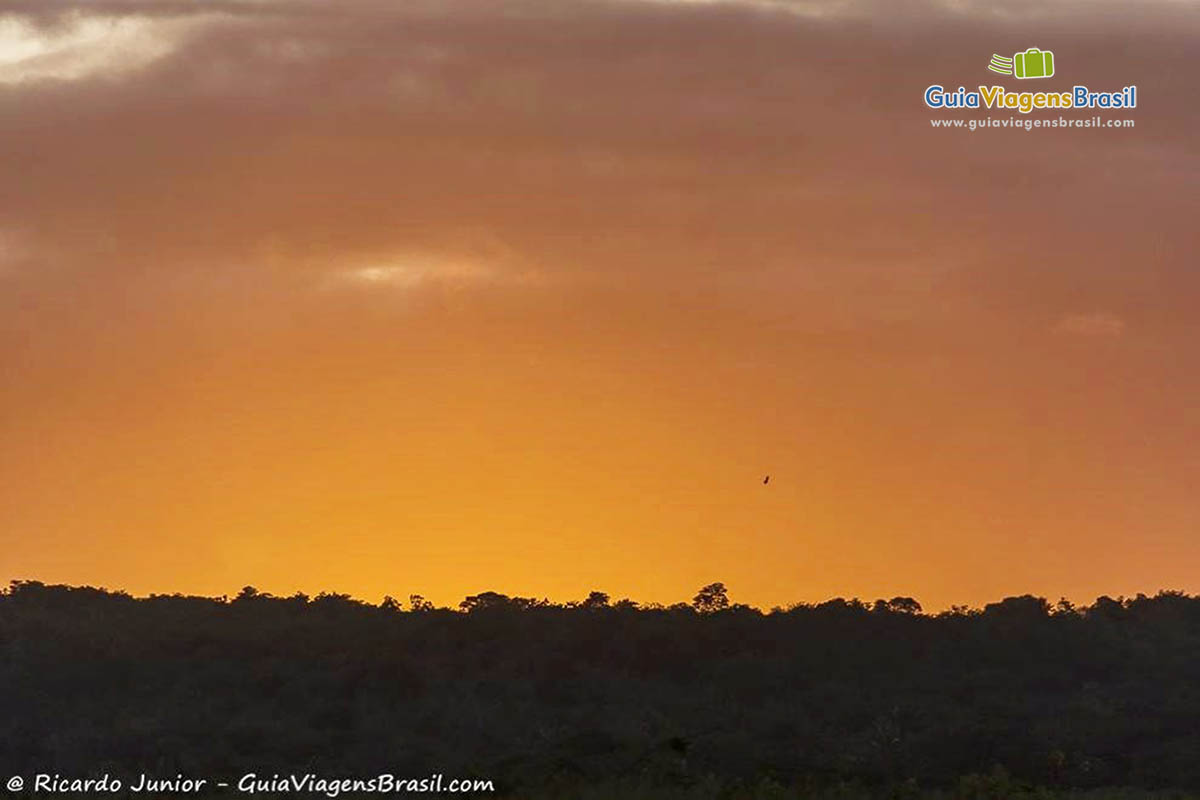 Imagem do pôr do sol da Praia de Camurupim.