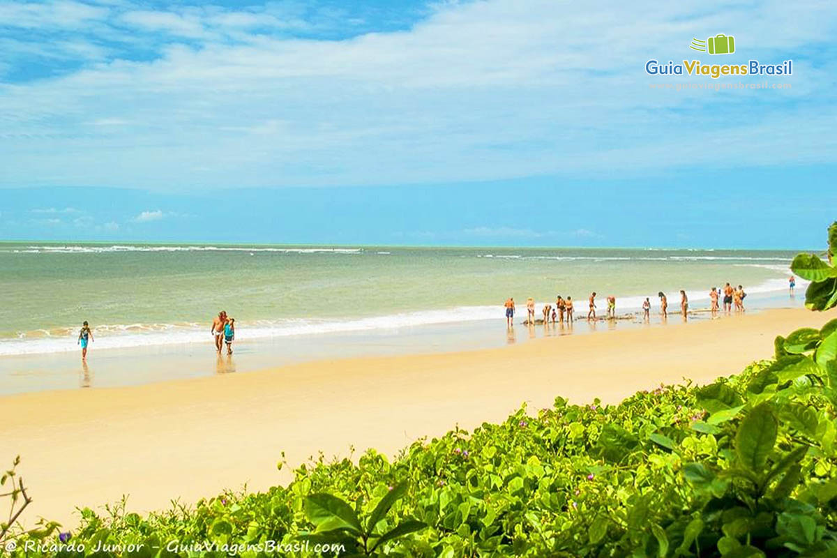 Imagem da vegetação e ao fundo a Praia de Curuípe, em Porto Seguro.