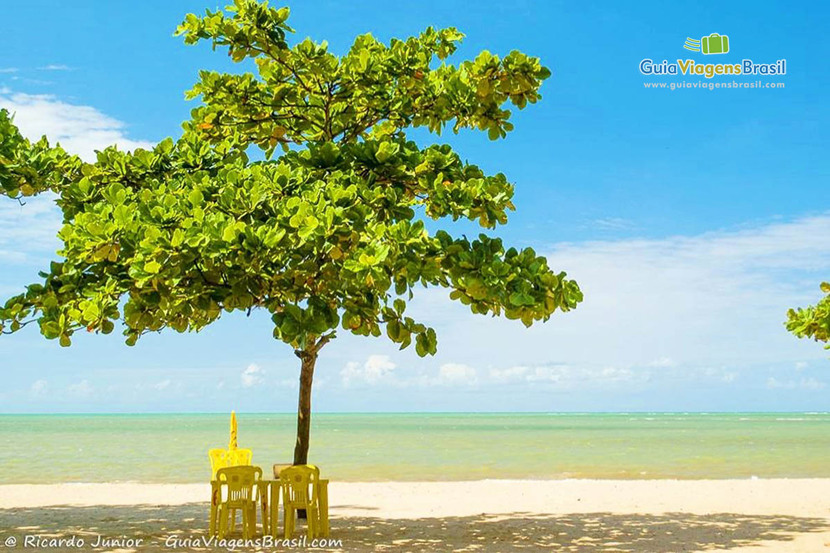 Imagem de uma árvore fazendo sombra para mesa na areia da praia. 