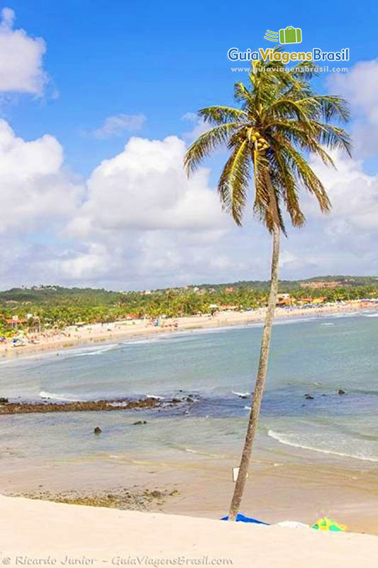 Imagem da paradisíaca Praia de Genipabu.