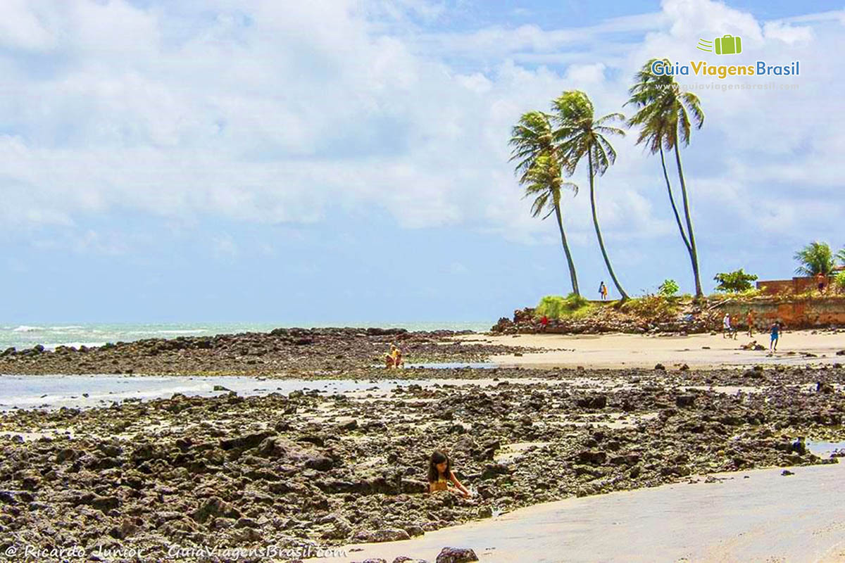 Imagem das exuberância natural da Praia de Genipabu.