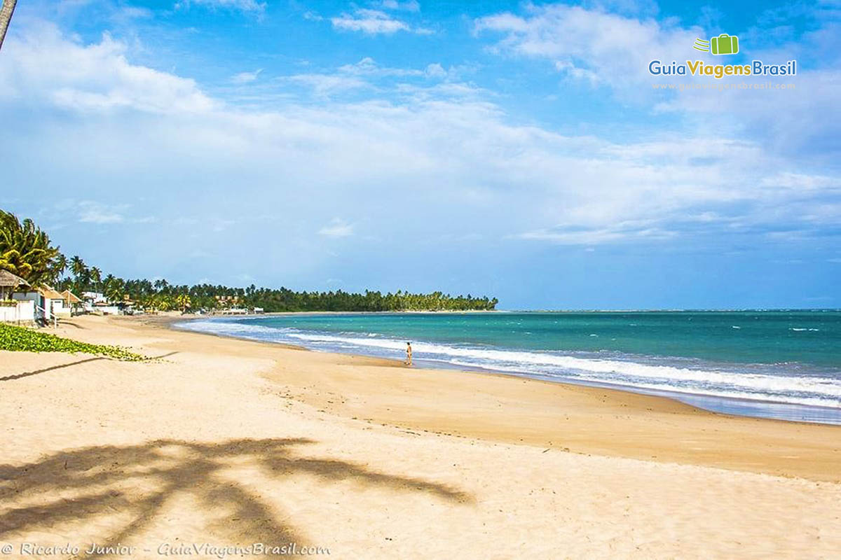 Imagem da sombra de um coqueiro na areia e a Praia de Guaxuma, em Maceió, Alagoas, Brasil.
