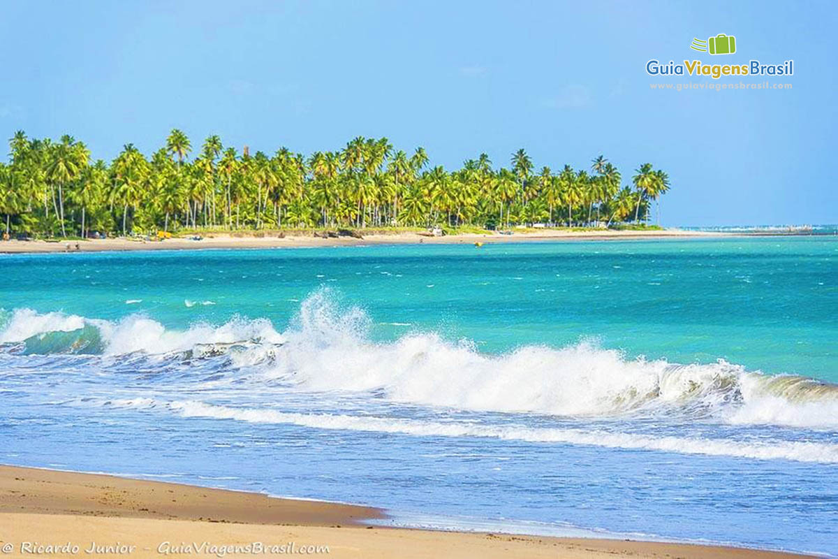 Imagem do mar e ao fundo os coqueiros da Praia de Guaxuma, em Maceió, Alagoas, Brasil.