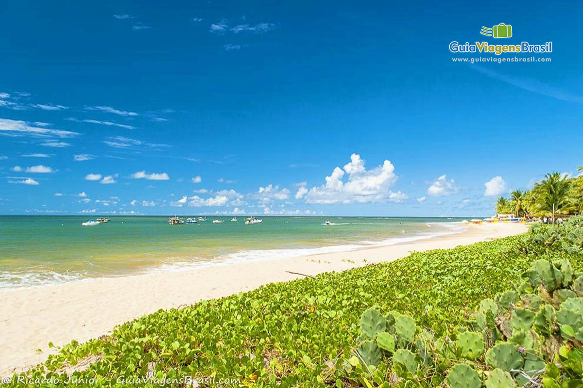 Imagem das belezas natural da linda praia.