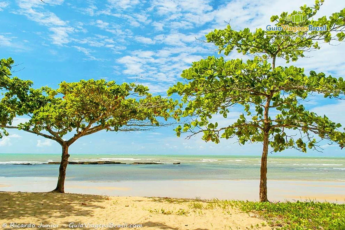 Imagem de duas árvores na extremidade da foto e no meio a Praia de Itacimirim, em Porto Seguro.